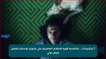 7 ترشيحات.. منافسة قوية للأفلام المصرية على جائزة أوسكار أفضل فيلم دولي